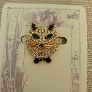 Brooch pin